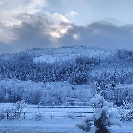 Guest house Link House 4*